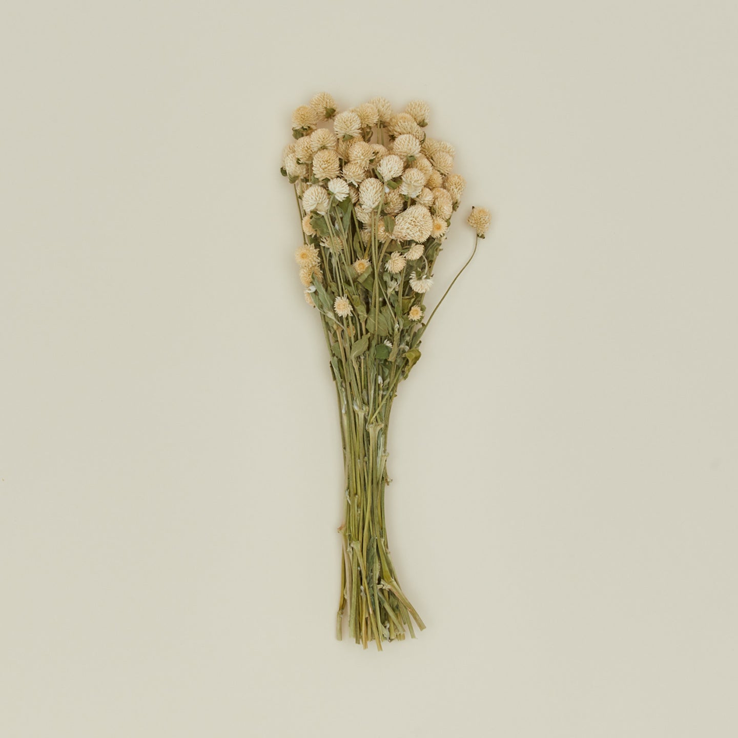 Lovejoy farms dried amaranth