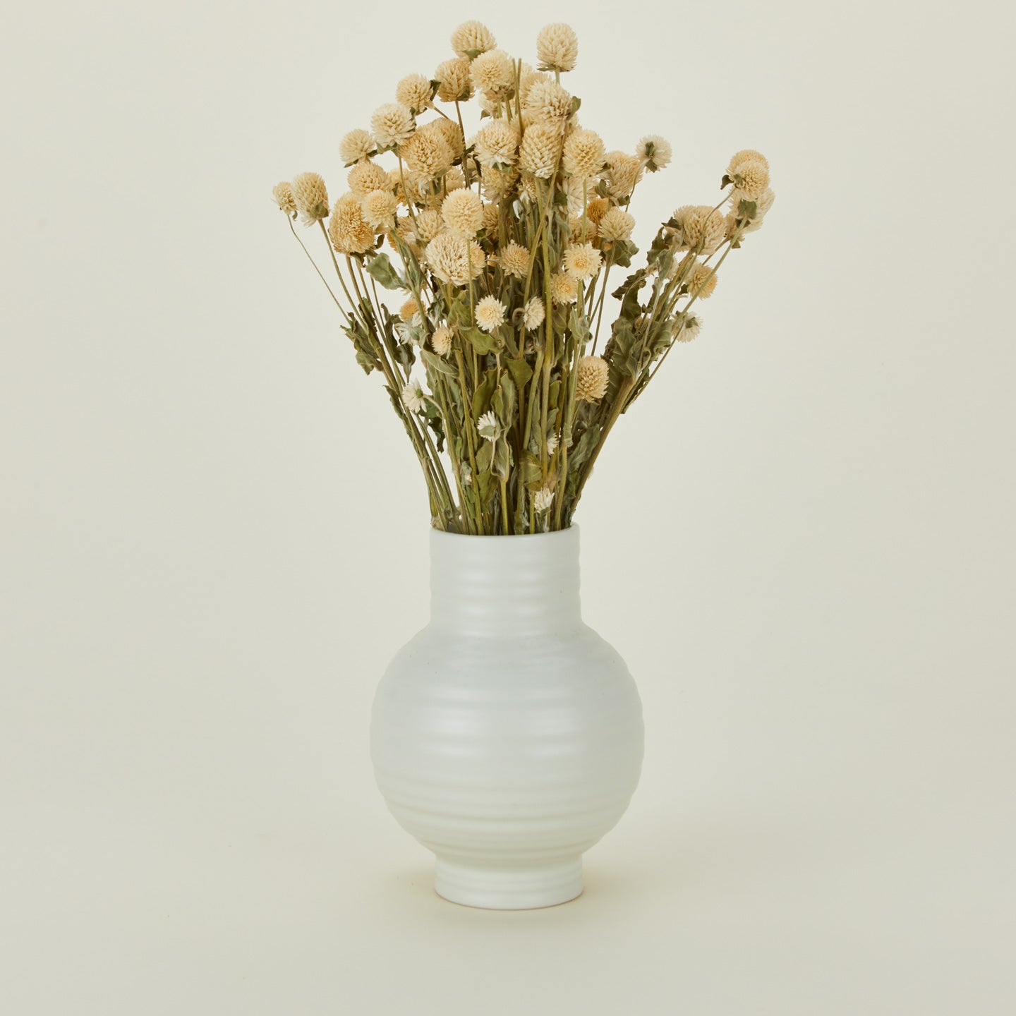 Lovejoy farms dried amaranth in essential vase