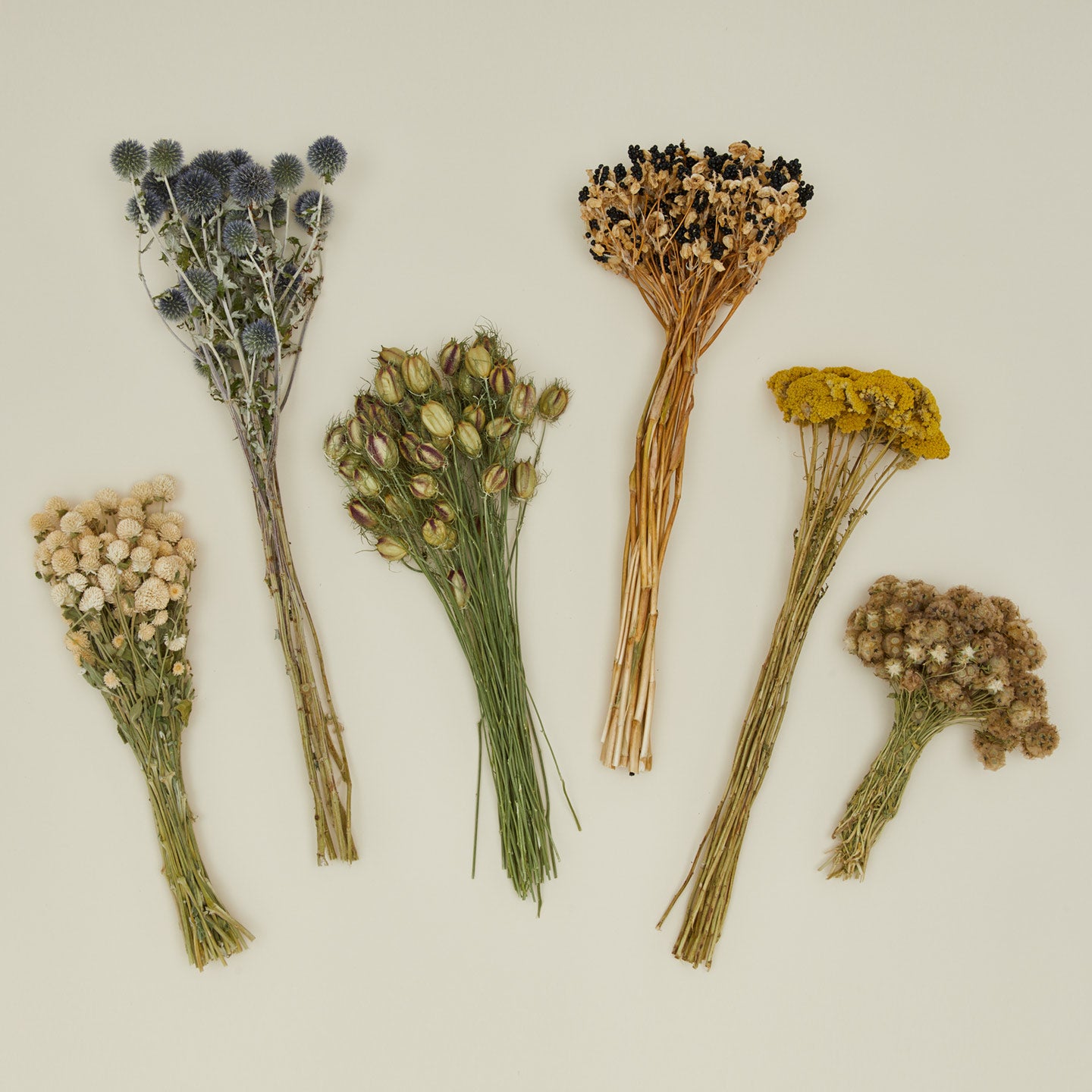 Lovejoy Farms dried floral family