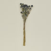 Lovejoy farms Dried Thistle