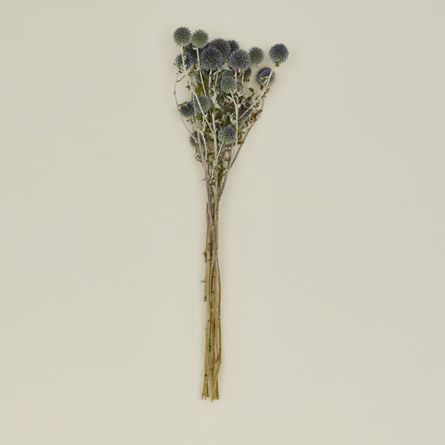 Lovejoy farms Dried Thistle