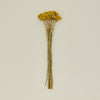 Dried Yarrow