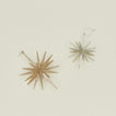Starburst ornaments in large and small
