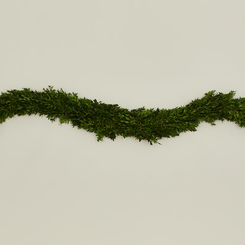 Boxwood Natural Garland