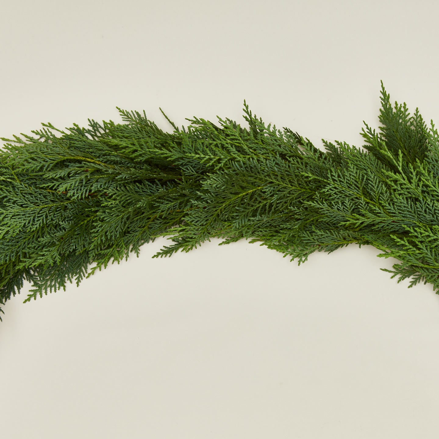 Close up view of Leyland garland