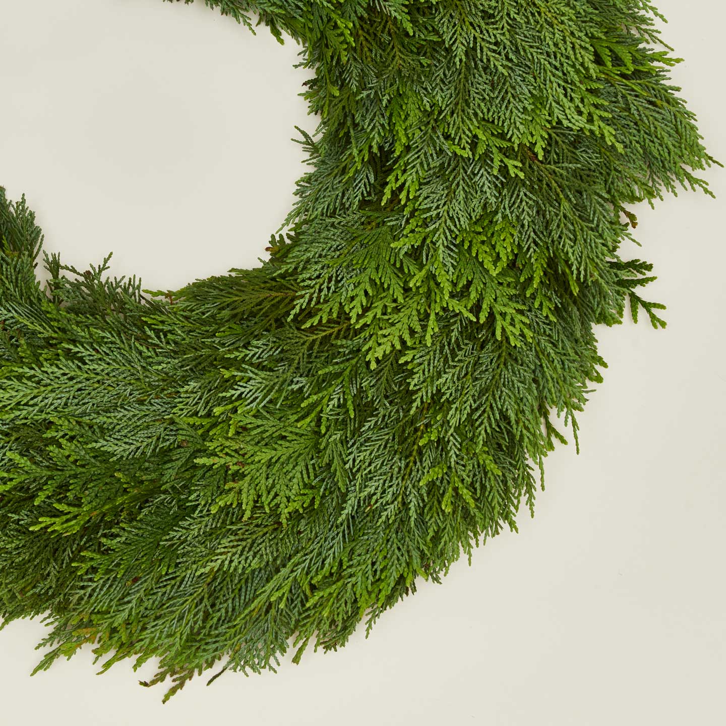 Close up view of leyland wreath