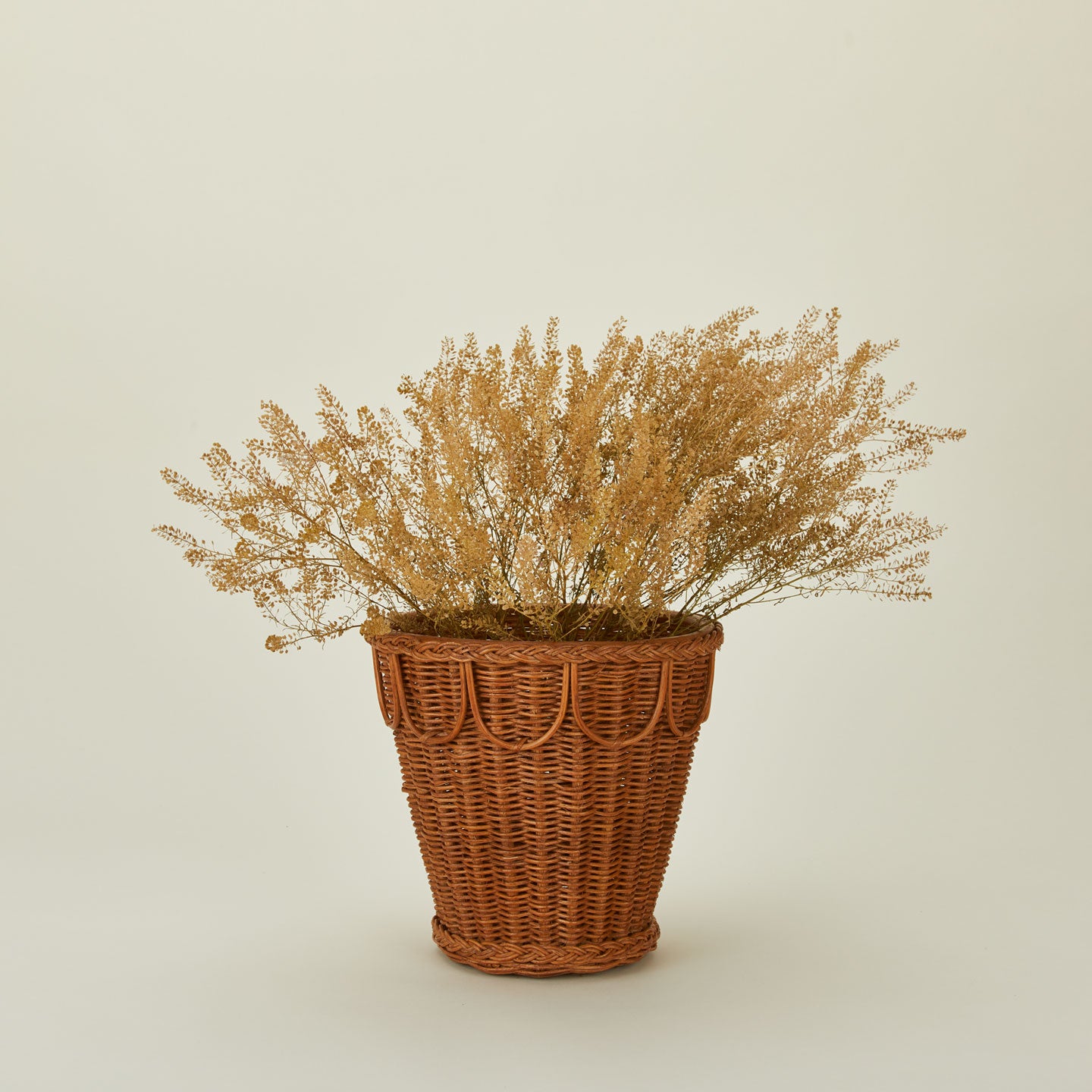 Medium Pinet plant pot with plant.