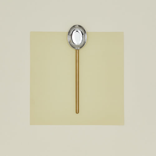 Simple metal spoon in brass
