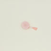 Blush raw edge velvet ribbon