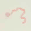 Blush raw edge velvet ribbon