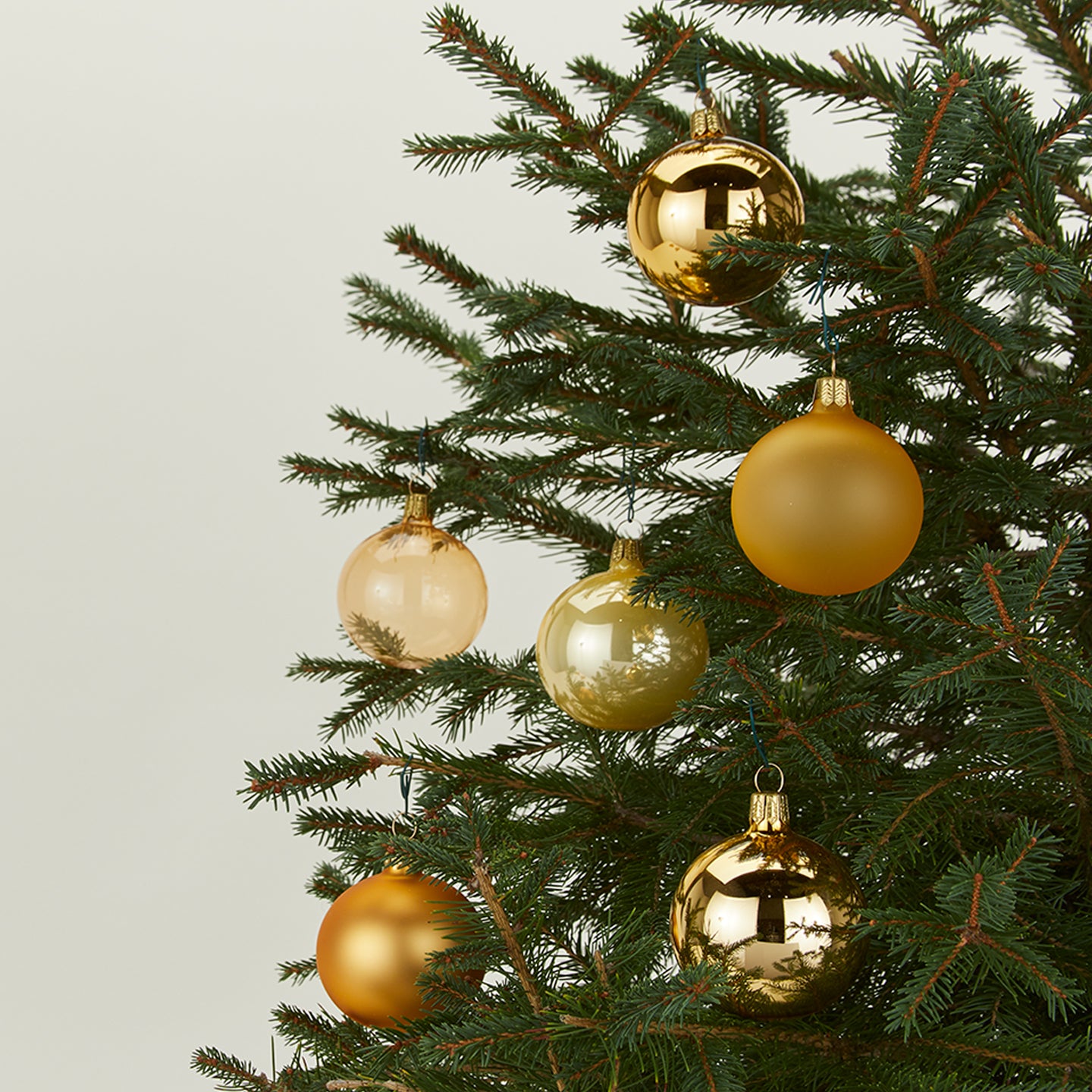 XS Glass Ornament Set - Gold