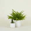 Minimal Planter