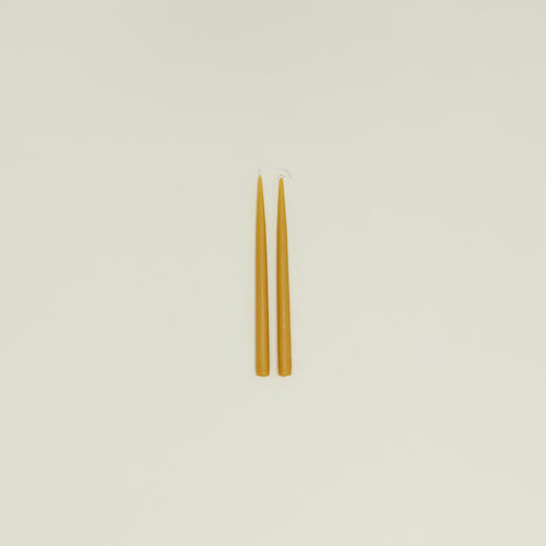 Hand Dipped Taper Set  - Honey