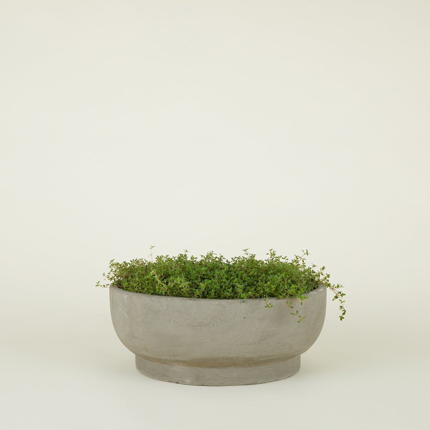 Footed Bowl Planter - Fiber Cement