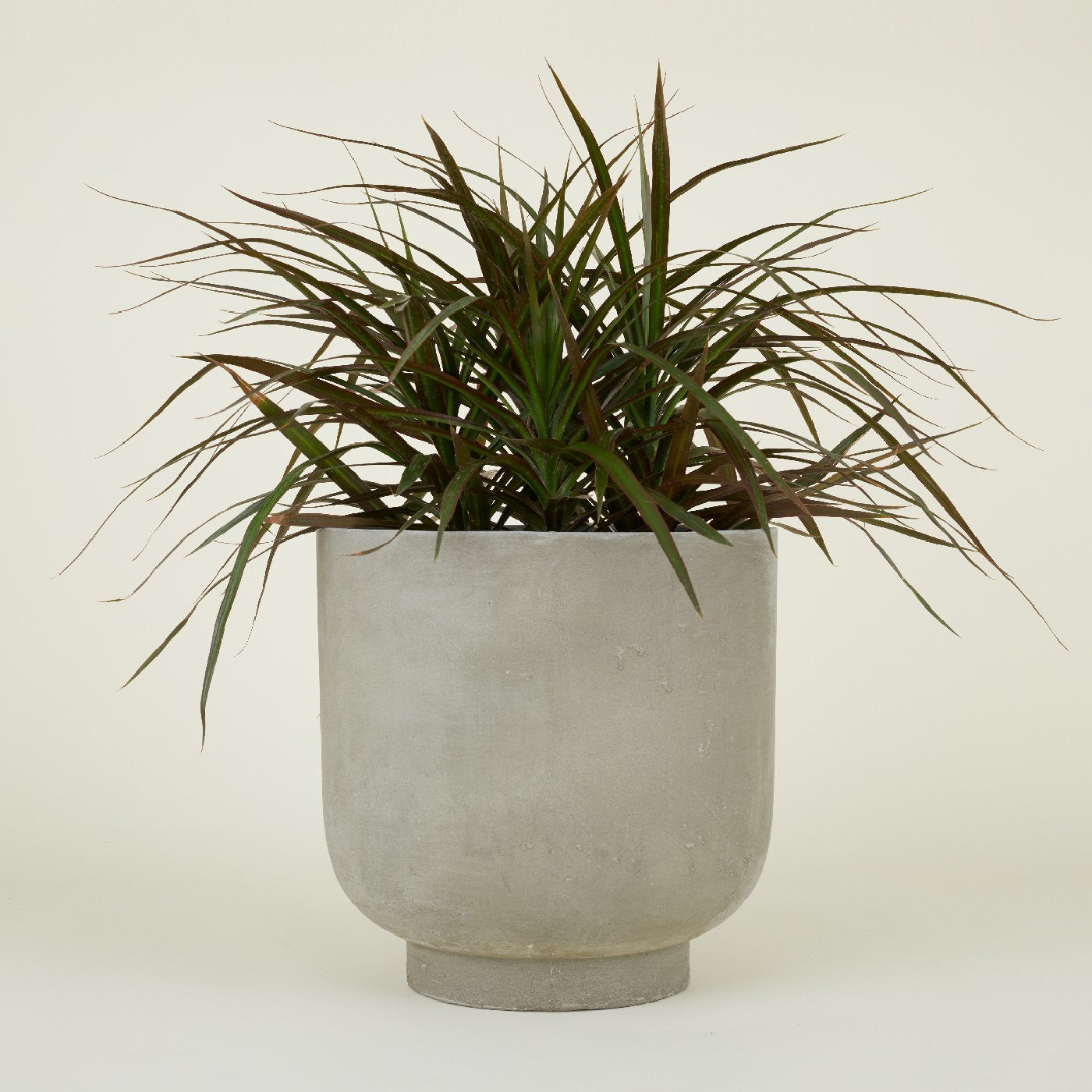 cement indoor plant pots Footed Planter