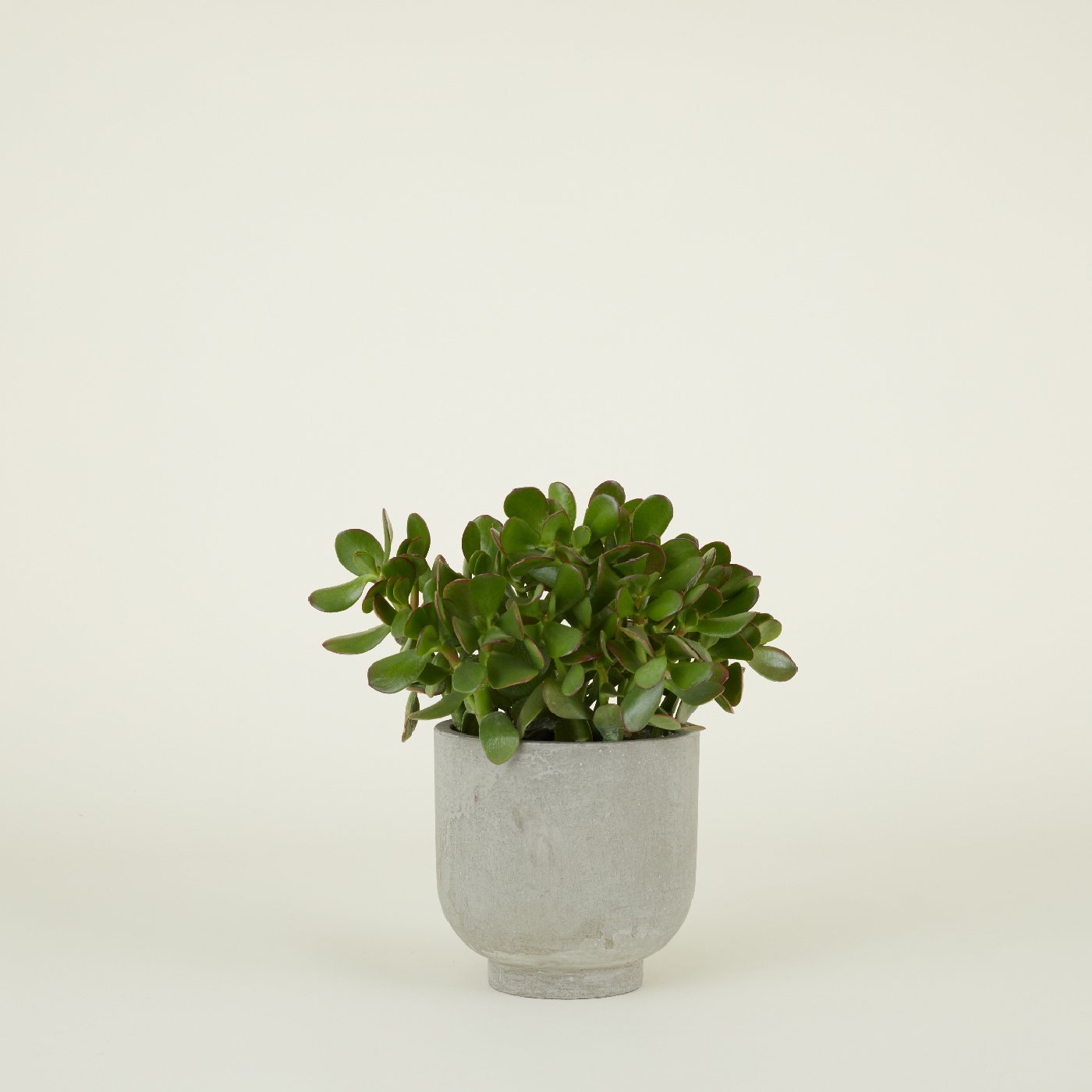 footed plant pot Footed Planter