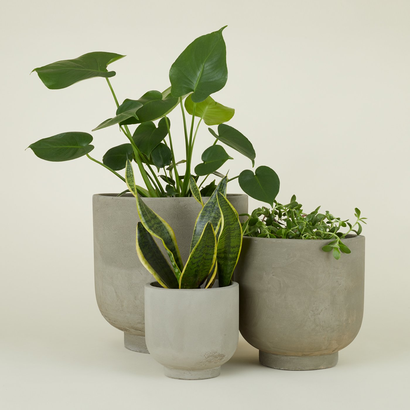 cement planter indoor Footed Planter