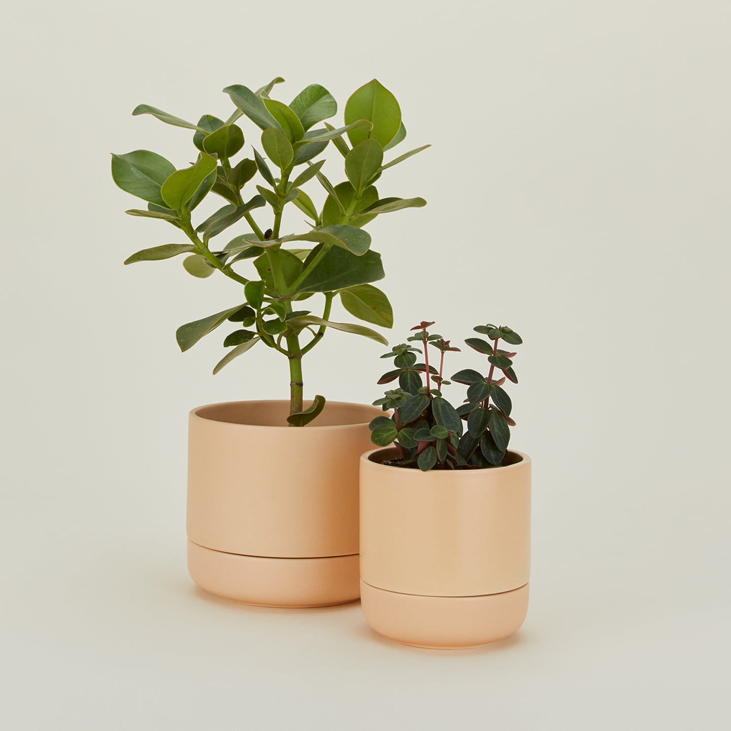 Franklin Self Watering Planter - Apricot