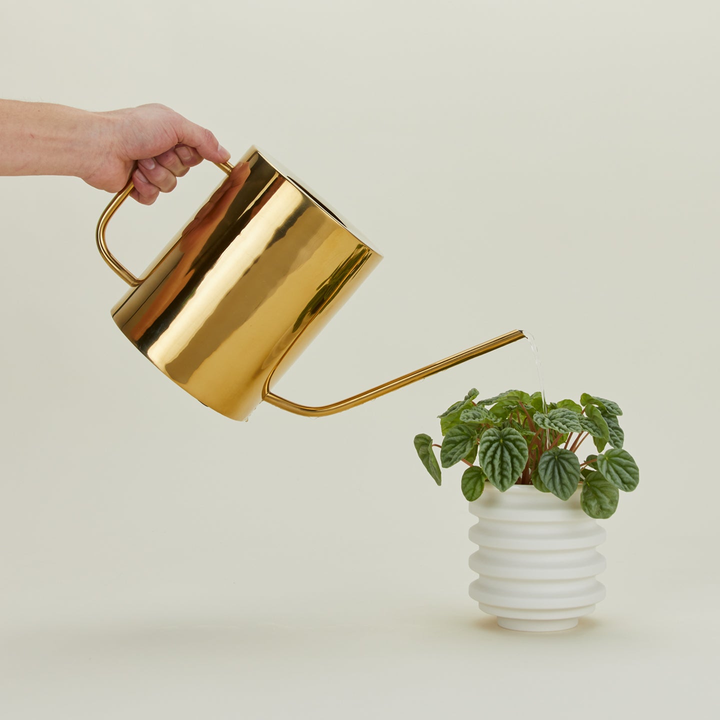 Simple Watering Can