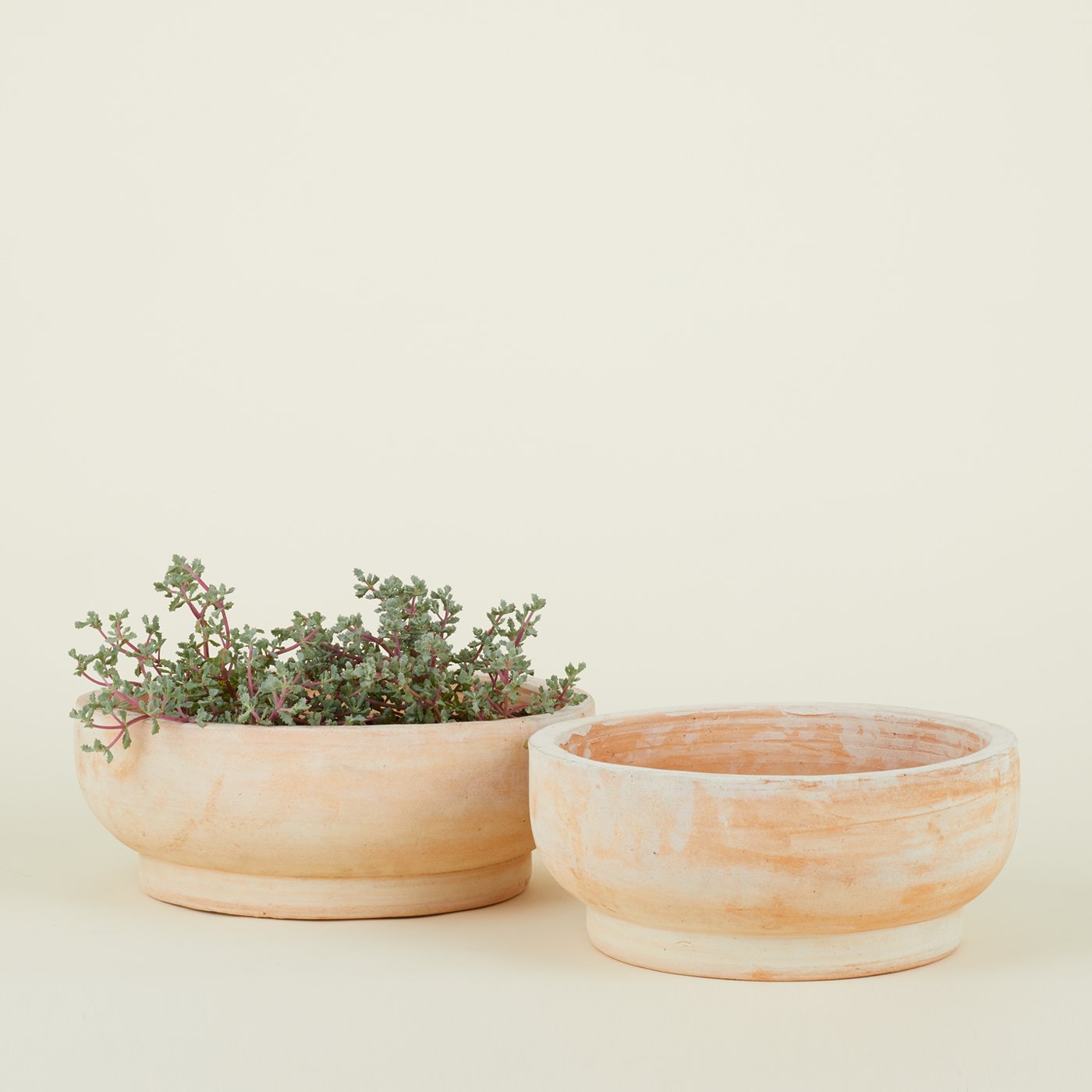 Footed Bowl Planter - Terracotta