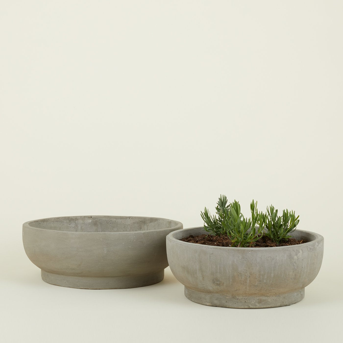 bowl planter Hawkins New York Footed Bowl Planter - Fiber Cement