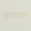 Shower Curtain Hooks - Brass