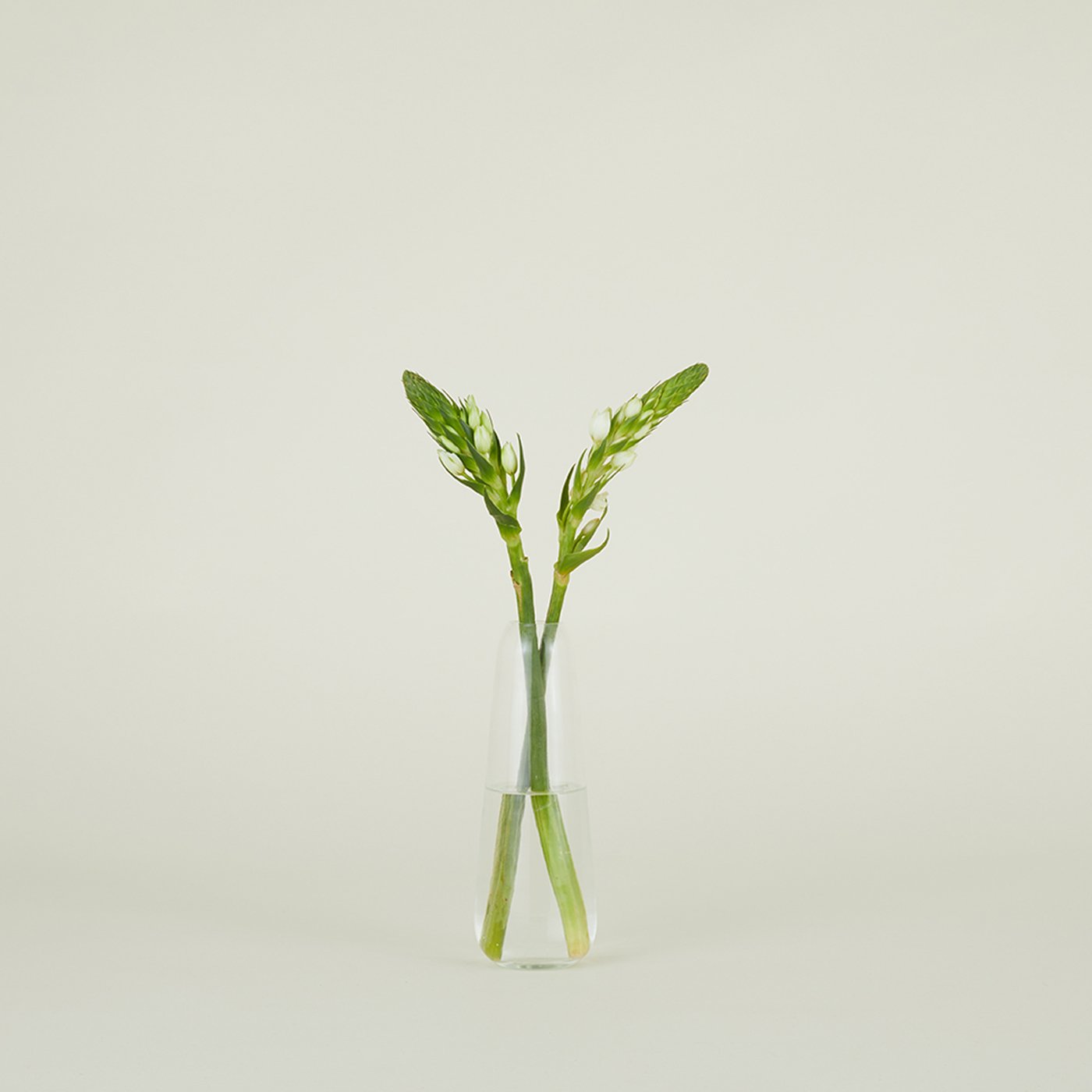Aurora Drop Vase - Clear – Hawkins New York