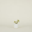 Stoneware Vase - Eggshell