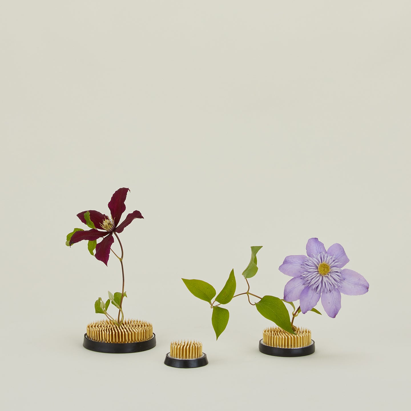 fiorina＊ Amazon.com: Ikebana Stem Holder, 3 Pieces Flower Frog Fixed