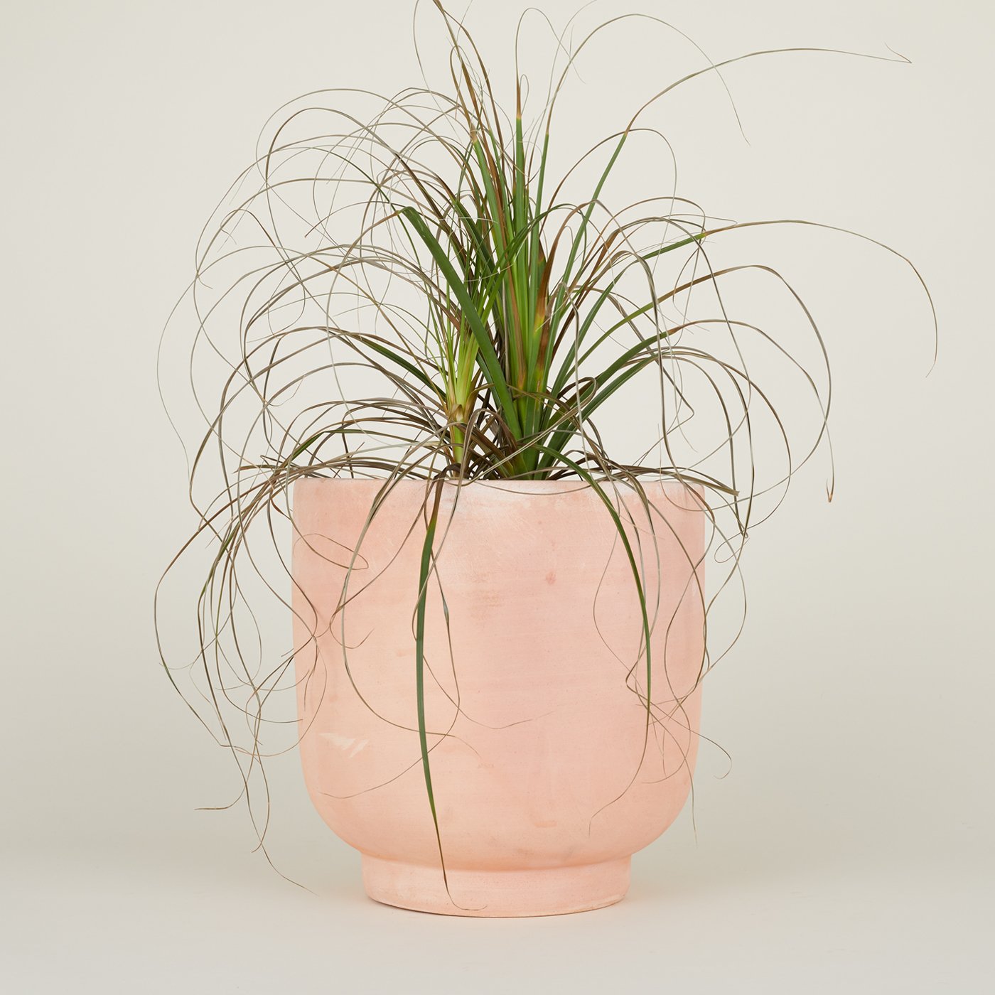 indoor footed planter Hawkins New York Footed Planter - Terracotta