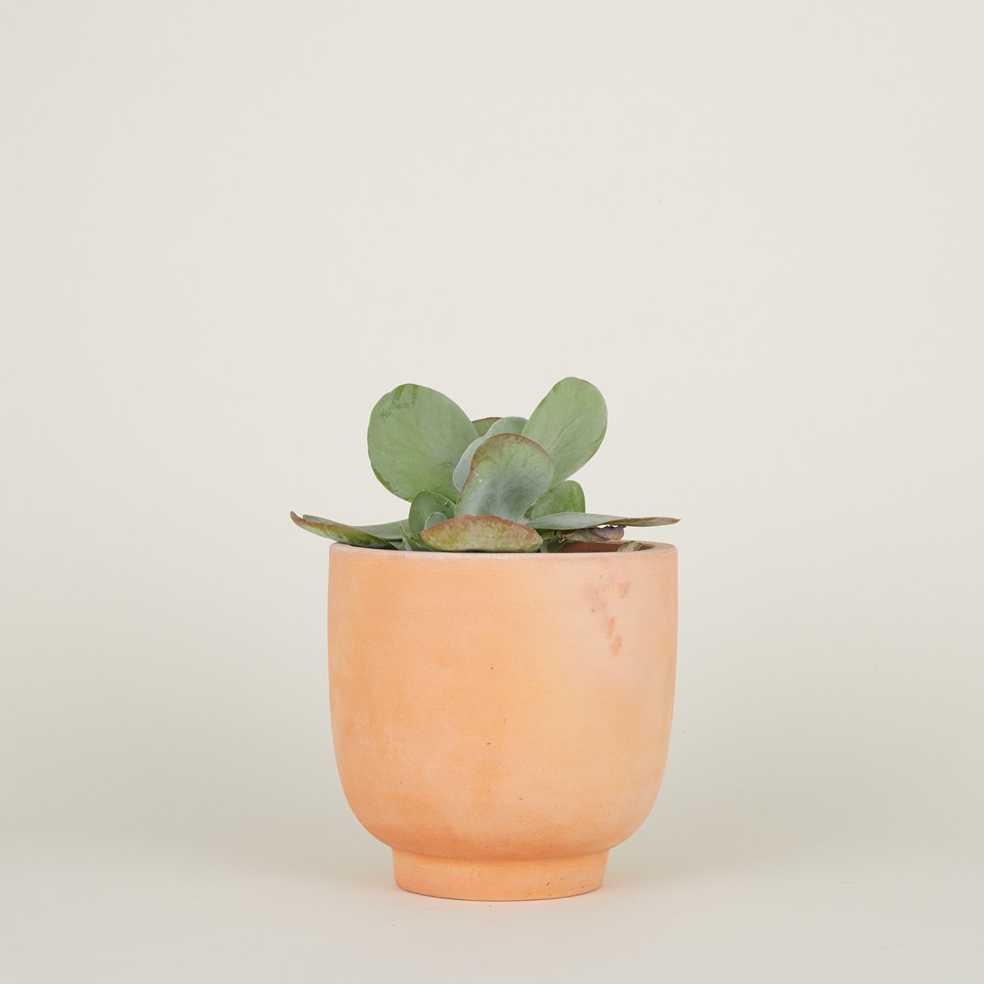 Footed Planter - Terracotta