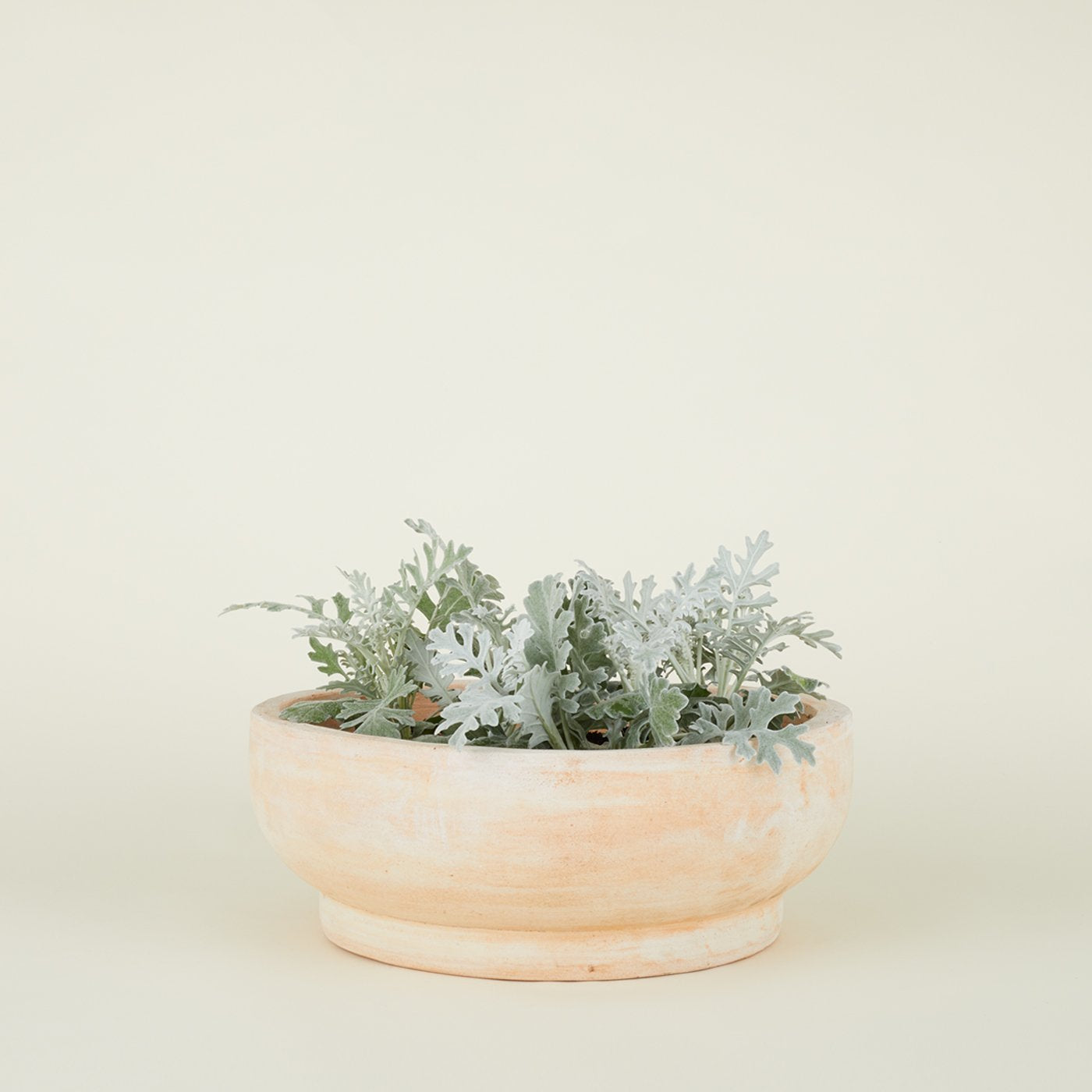 Footed Bowl Planter - Terracotta