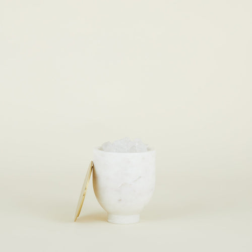 Alza Ice Bucket